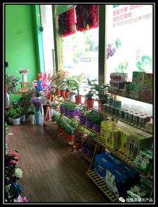 丹樱高端农产品专卖店 引领新零售模式，重塑食用农产品消费体验