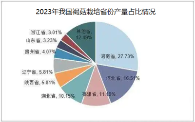 2024年褐菇市场分析 批发价稳健，消费潜力待深挖
